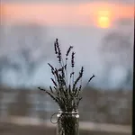 Gospodarstwo agroturystyczne Karaiskos Agritourism Farm Portariá