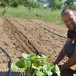 Gospodarstwo agroturystyczne Karaiskos Agritourism Farm *