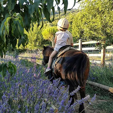 Bauernhof Karaiskos Agritourism Farm