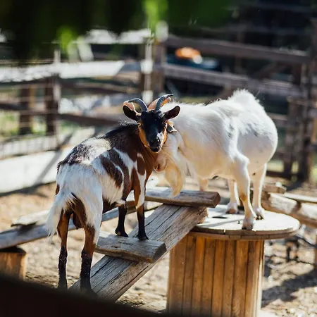 Bauernhof Karaiskos Agritourism Farm