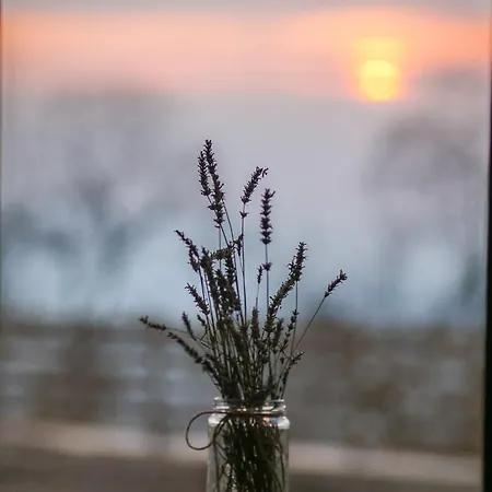 Farm stay Karaiskos Agritourism Farm Portaria (Magnesia)