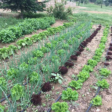Karaiskos Agritourism Farm