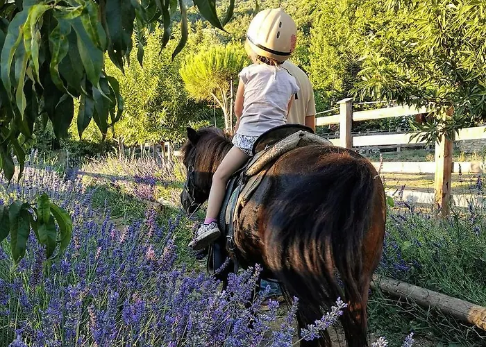 Pensiune agroturistice Karaiskos Agritourism Farm