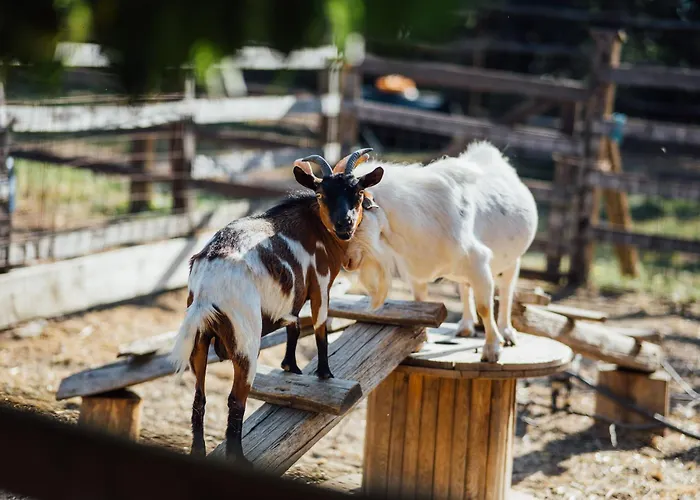 Pensiune agroturistice Karaiskos Agritourism Farm