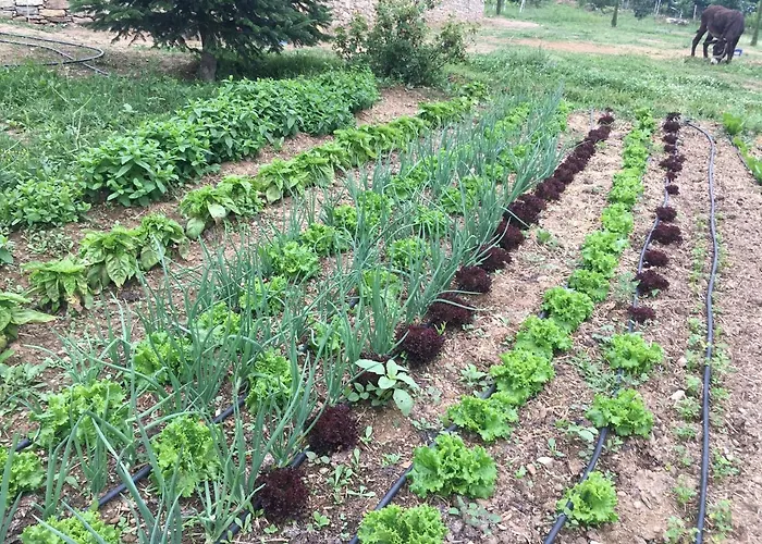 Karaiskos Agritourism Farm